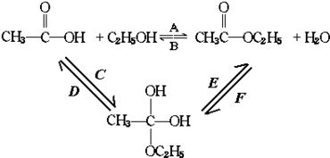 13.乙酸和乙醇的酯化反应.可用如下过程表示 即酯化反应实质是经过中间体再转化为酯和水.以上反应均为可逆反应.回答下列问题 1 用进行该实验.18O可存在于哪些物质中 