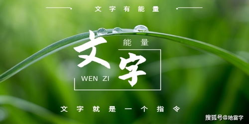 五行属金的比较旺的字,五行属金的汉字,陈泓畯