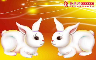 m.pg-nmga.com fortune rabbit