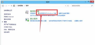 win10怎么设置虚拟机联网吗