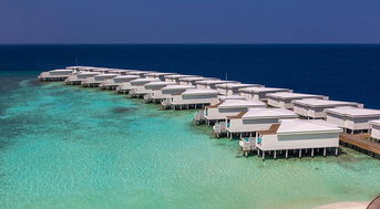 马尔代夫阿米拉岛攻略一次绝佳的海岛度假体验