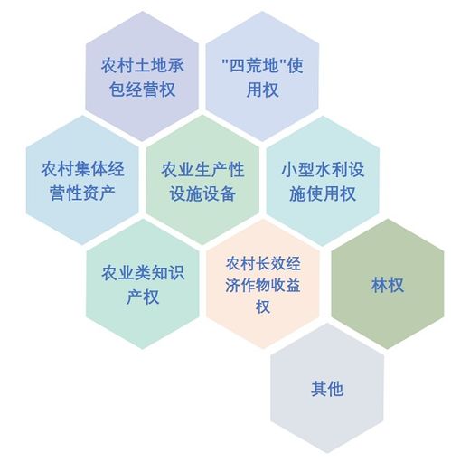 乡村数字化农村产权交易平台,江苏省农村产权交易平台交易中心