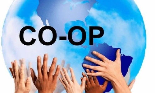 is co-op,Understanding the Concept of Co-op