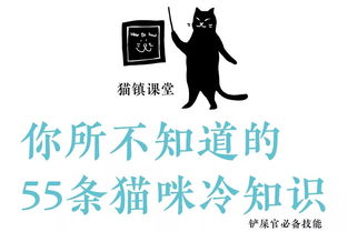 你所不知道的55条猫咪冷知识 