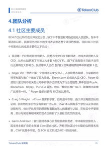  bch比特现金是什么级别的缩写,BCH是啥？最近币圈好像挺流行这个 USDT行情