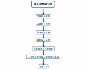 梧桐时代科技 电子招投标平台怎么招标 怎么投标 全流程来了