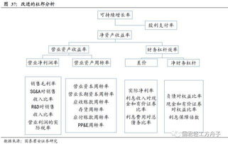 公司研究基本框架 