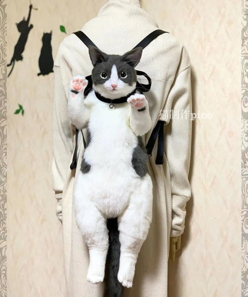 这不是虐猫 1 1超逼真 猫咪背包 遭日本猫奴疯抢