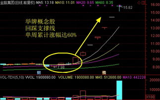 TCL集团（000100）2000，2001，2002，2003年年末股价分别是多少？