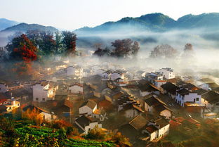 婺源篁岭攻略(凤凰秋山居附近免费停车场)