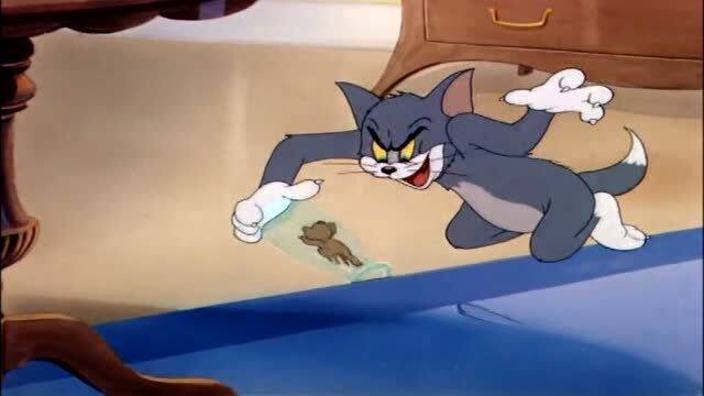 猫和老鼠 汤姆捉鼠成功,竟没斗过外来小灰鼠 