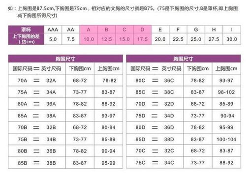 胸罩4090是什么意思,胸罩40 90是什么意思-第3张图片