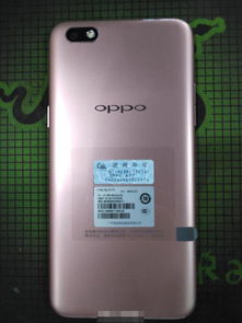 OPPO A77手机什么时候上市？价格是多少