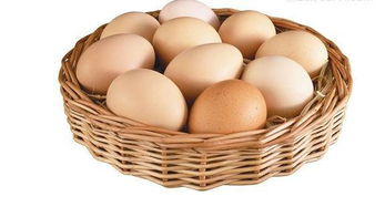 母鸡下的双黄蛋,真的能孵出2只小鸡吗 今天总算是知道了