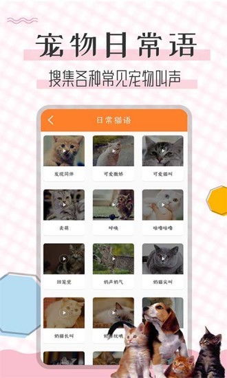 猫语翻译宝软件下载 猫语翻译宝手机版下载 v1.1.6 安卓版 