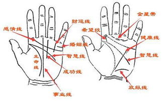 撼龙风水 手相面相解读阴阳宅风水 