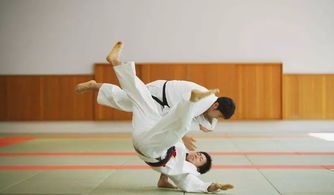 柔道又称柔术 奥林匹克运动会中的柔道竞赛是怎幺回事(黄浦古流柔道训练)