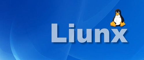 linux如何,从基础到实践，轻松掌握Linux系统