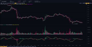 ltc币日期,为什么Liecoi (LTC)的历史数据对投资者来说是重要的指标?