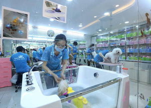 杭州宠主福音,终于找到一家专业又可靠的宠物医院