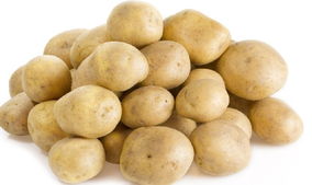 1.76土豆