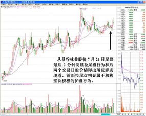 一支股票尾盘迅速拉升意味着什么?