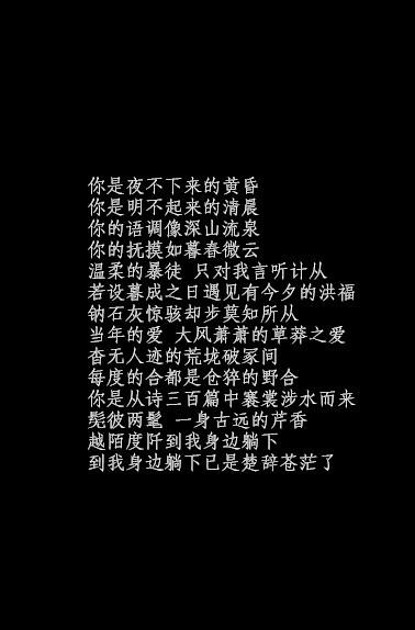 文字句子 玫瑰情书