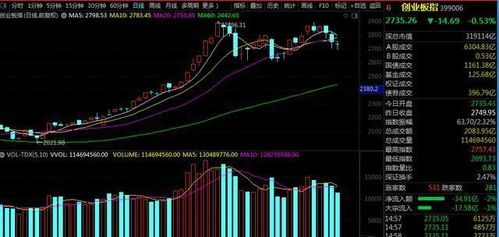 酒b股是个什么股票，这波大跌会拆吗