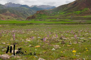 献给23岁2015年西藏 成都川藏线317 318徒步搭车自由行摄影新手海量照片欢迎指点