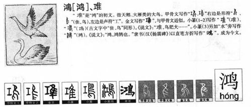 10个带鸿字诚实可信的小孩名,用上就是那街上最靓的仔