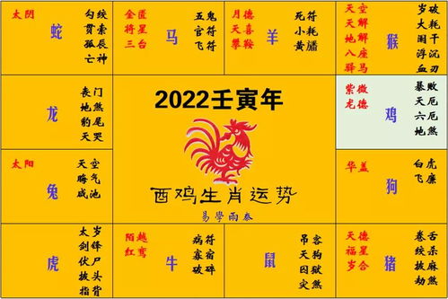 2022年生肖鸡的每月运程分析(生肖鸡2022年运势)