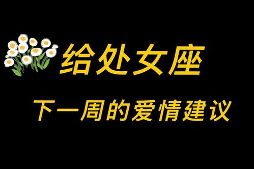 简恩塔罗的个人展示页 