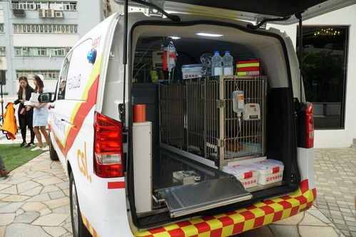 香港推出宠物急救车,为宠物提供夜间急救服务,其实我们早就有了