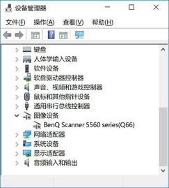 win10系统怎么找不到明基5560