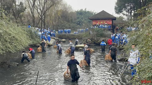 超嗨 校长带头,师生下池塘捕鱼,晚上食堂还安排了全鱼宴