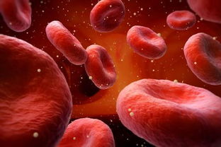 葡萄糖进入红细胞的方式：揭秘生命之源的神秘传递