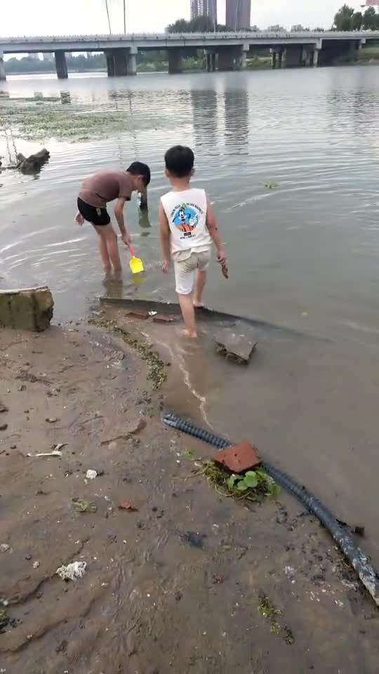 河小孩子应该远离这里,水很深的 