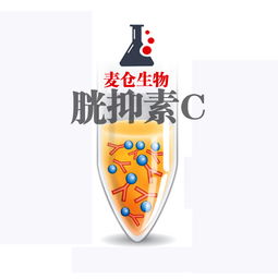 胱抑素C偏高，究竟意味着什么？