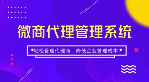 微商系统丨微商管理代理系统开发 复盈科技