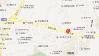 番禺市桥的朋友：请问市桥的华夏银行在哪里？