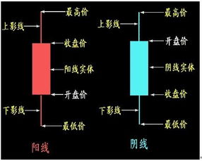 我是个新手股票怎么一步步的操作呢