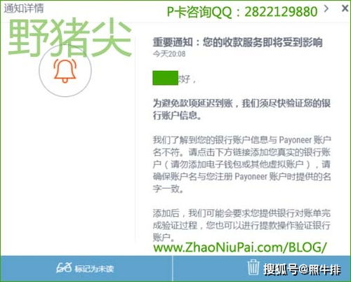  payoneer派安盈官网, Payoeer派安盈是什么? 法规