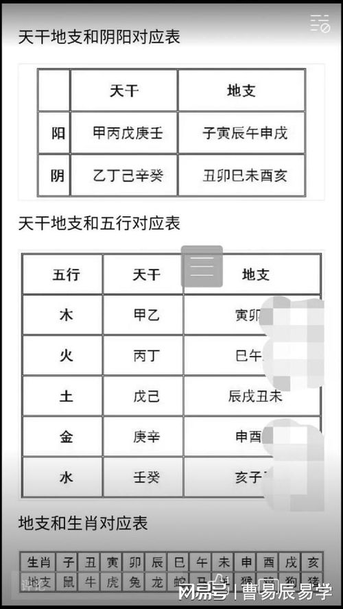 八字基础之干支符号语言