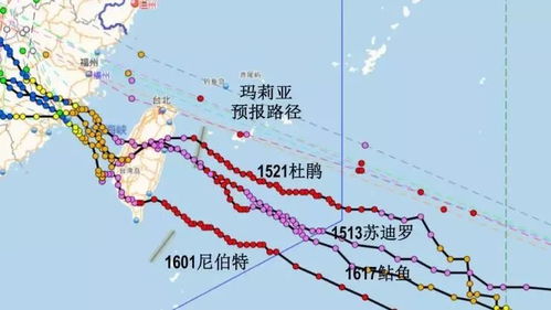  欧陆登录线路,轻松畅游欧陆平台 天富官网