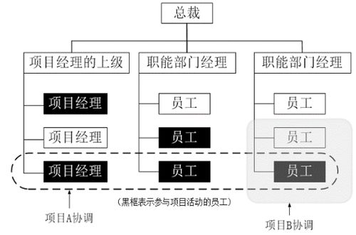 广州软考信息系统项目管理通过了多少人