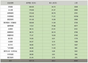 中国网络安全企业排名