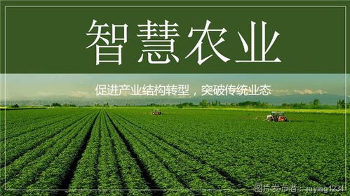  富邦智慧农业,引领农业现代化新潮流 天富登录