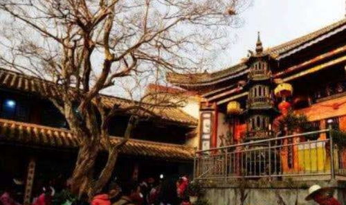 云南 最奇葩 寺庙,供奉猪八戒,单身游客求姻缘