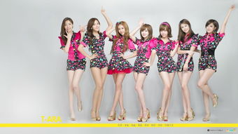  t-ara, t-ara: The Rise of a k-pop Pheomeo 区块链