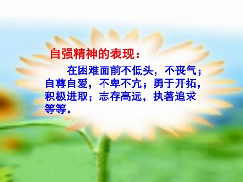 梳头名言;与人生无常类似的名言？